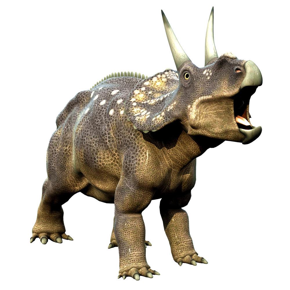 triceratops)亦称 a target="_blank" href="/item/三觭龙/7620712"