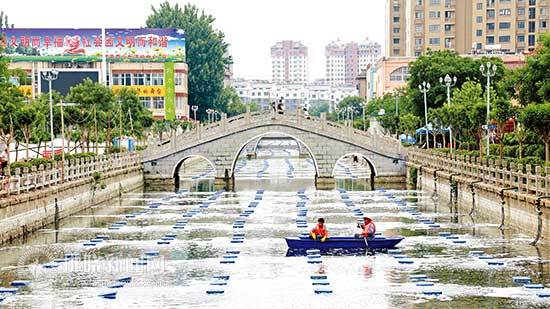 龙河,原名龙山河,发源于安徽省 a target="_blank" href="/item/萧县