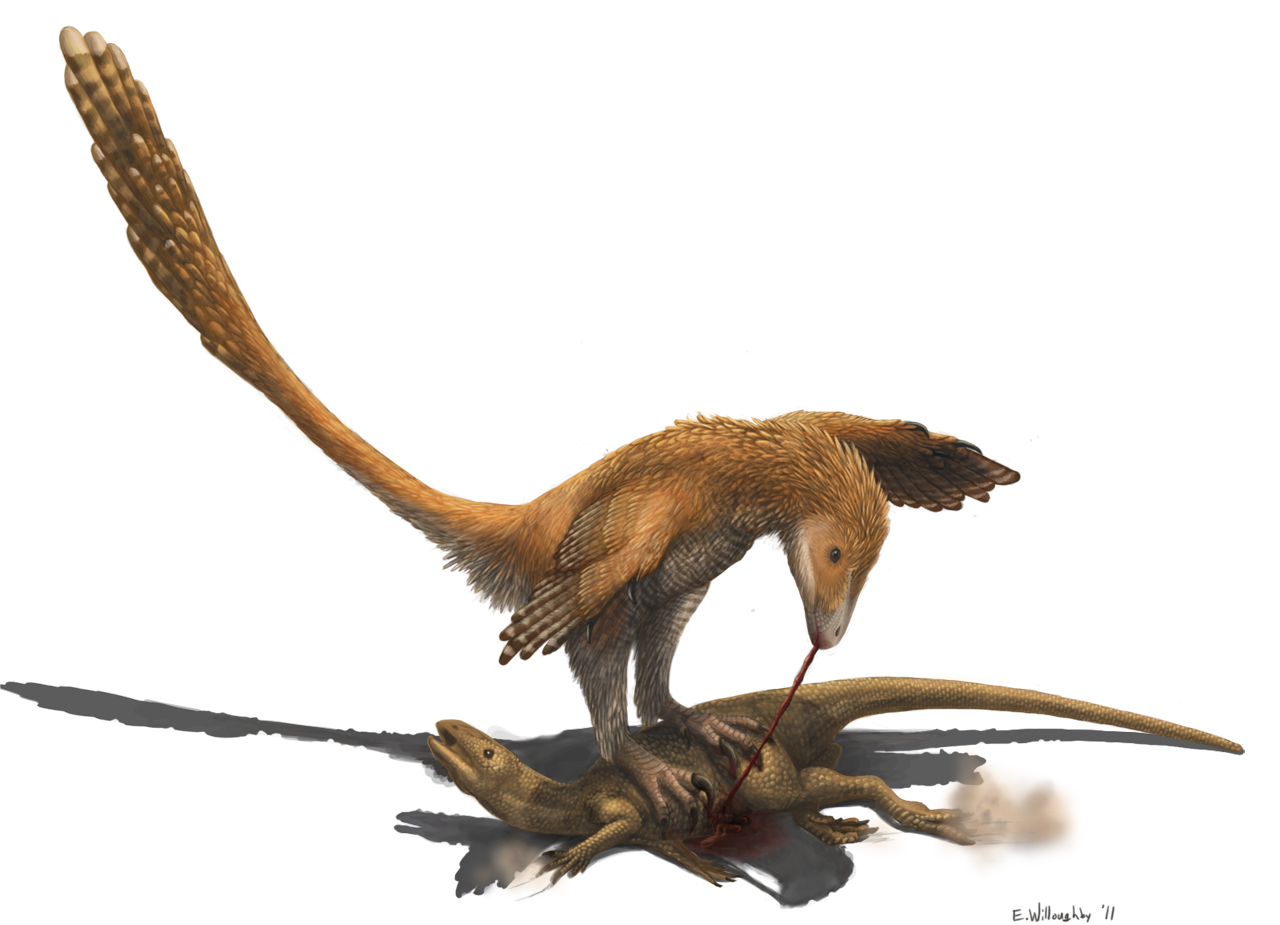  p>驰龙科(dromaeosauridae)是群类似 a href="#" data-lemmaid="
