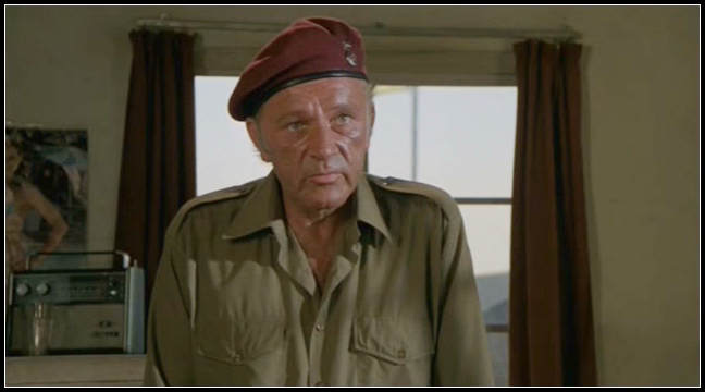 野鹅敢死队thewildgeese(1978)