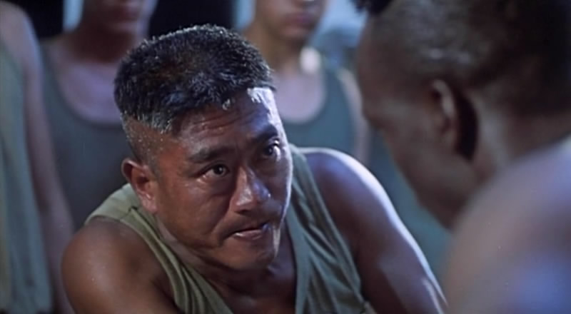  p>《战龙在野》是一部由 a target="_blank" href="/item/柯受良