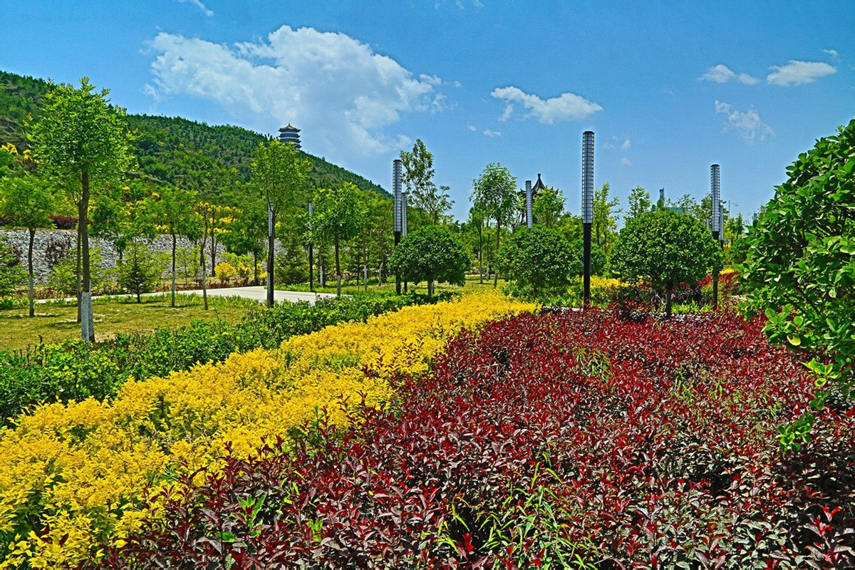 固原古雁岭城市森林公园