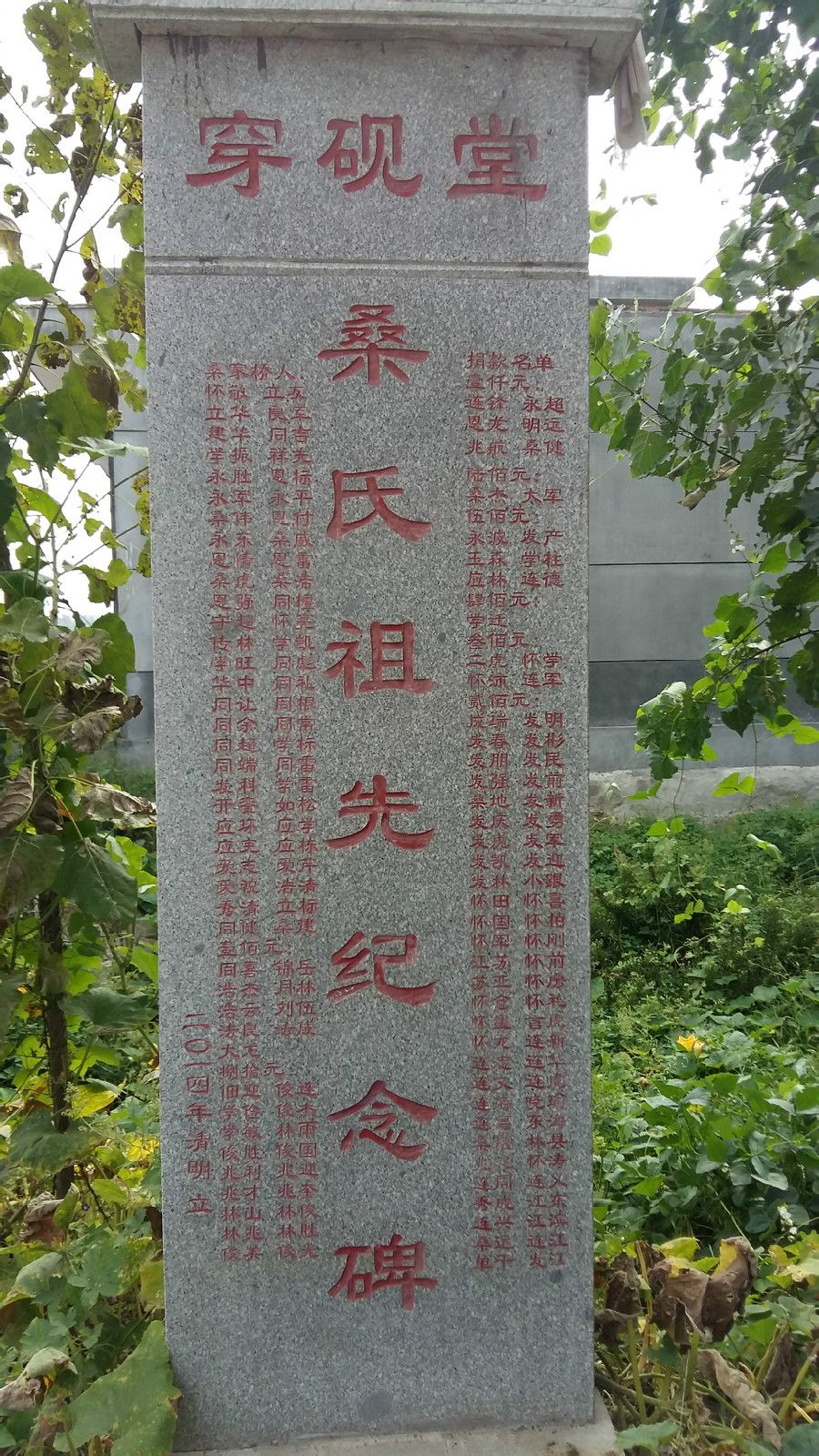 桑姓族考