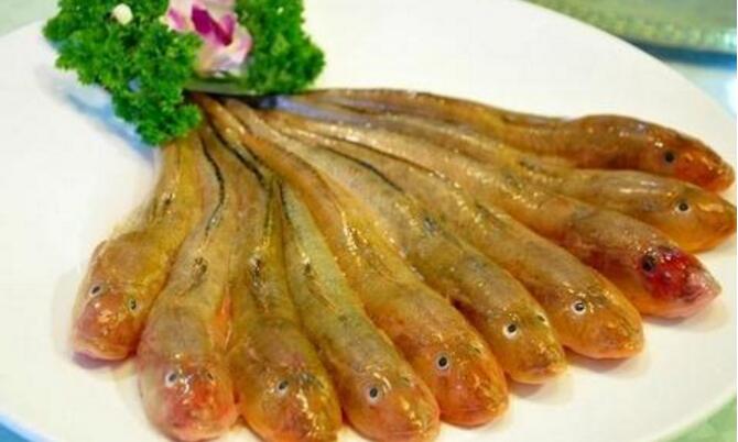 又名矛尾复虾虎鱼,推浪鱼,地龙鱼,天浪鱼,光鱼