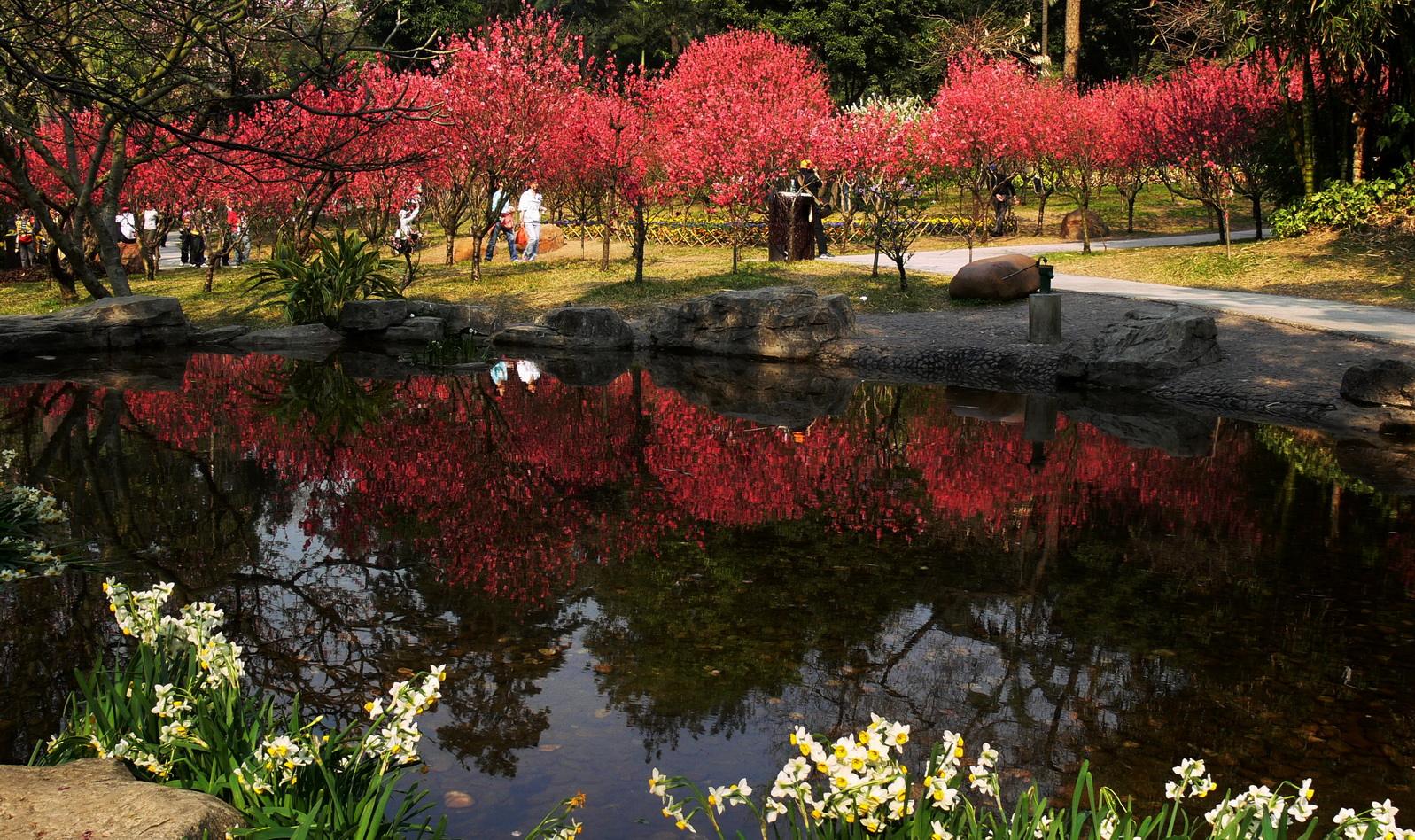 桃花涧