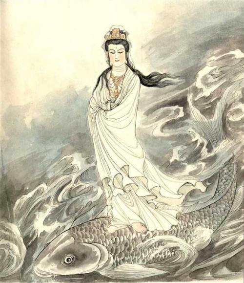鱼蓝观音