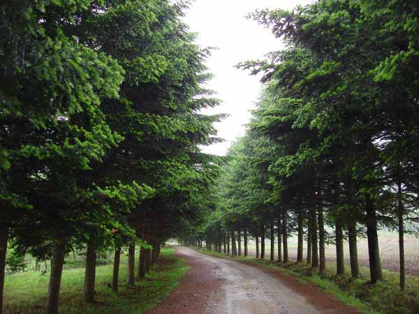 吉林黄泥河国家级自然保护区