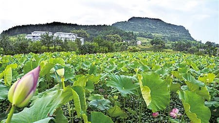 双寨山位于重庆市巴南区石滩镇,距主城区约60公里,原名古麒麟山,于