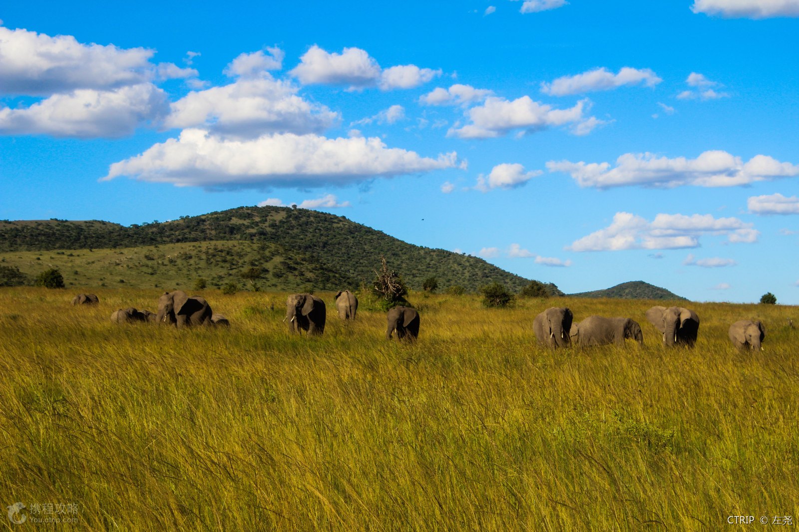  p>肯尼亚山国家公园和自然森林位于肯尼亚东部,距离首都内罗毕东北