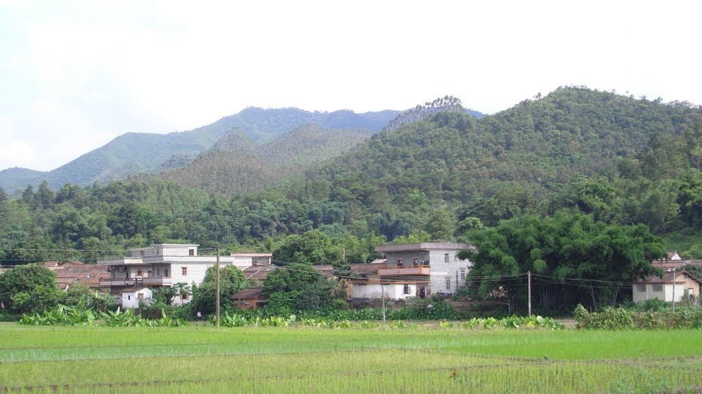 永安村