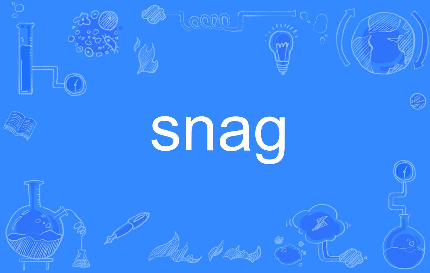  p data-id="gnb1pvmklz">snag,英语单词,名词,及物动词,不及物动词