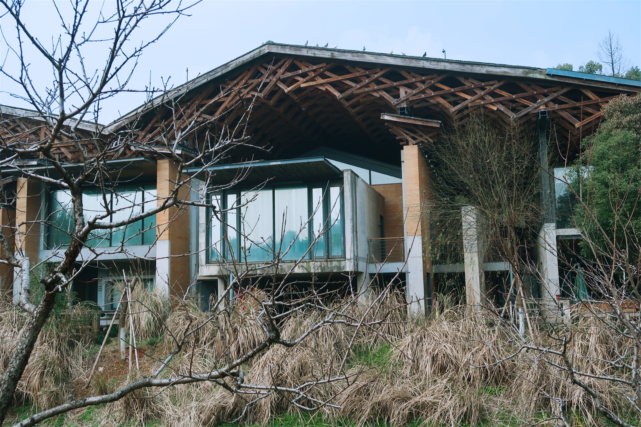 国立杭州艺术专科学校