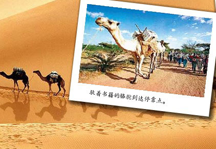 骆驼图书馆