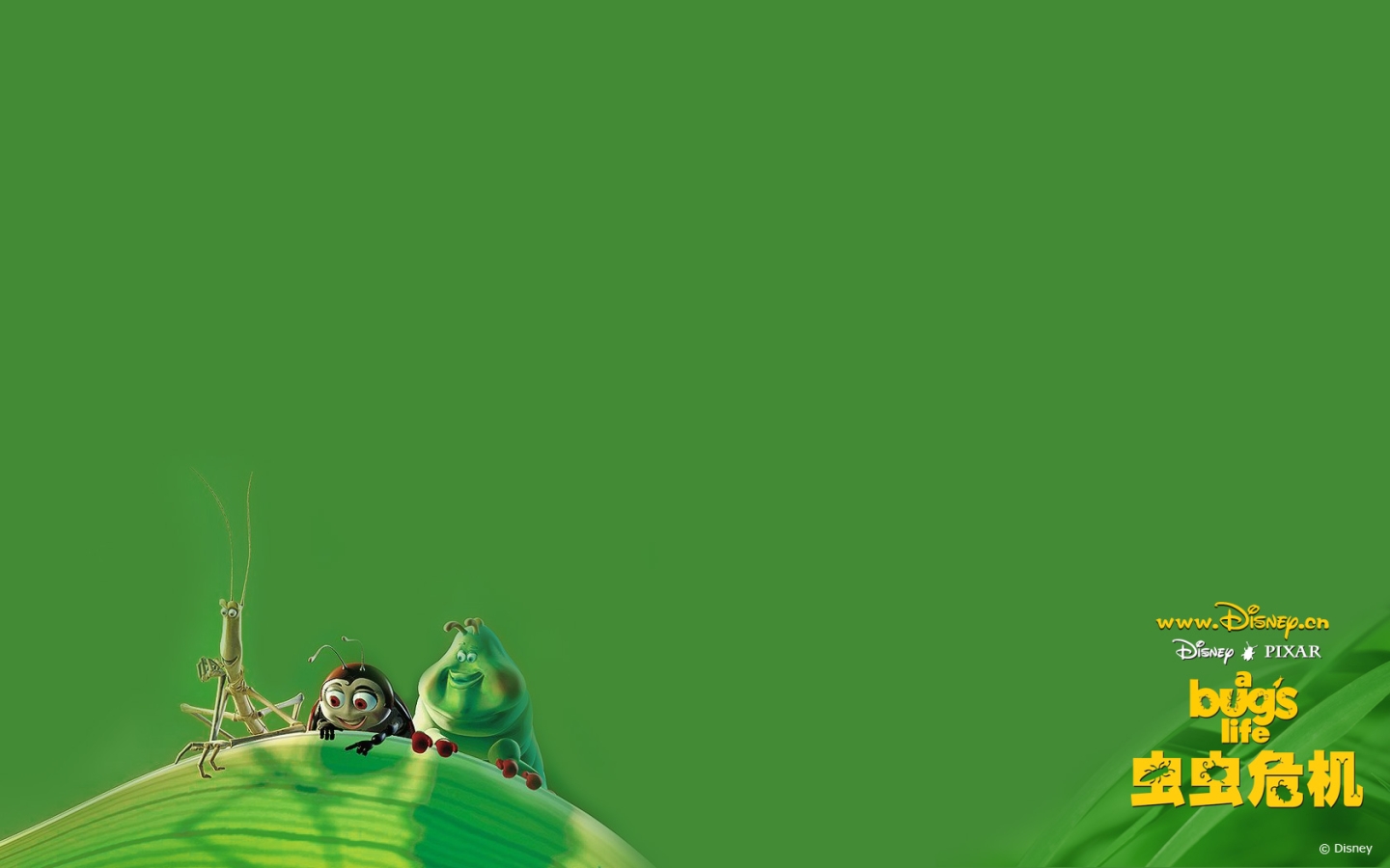  p>《虫虫危机》是由 a href="#" data-lemmaid="3924281">约翰·拉塞