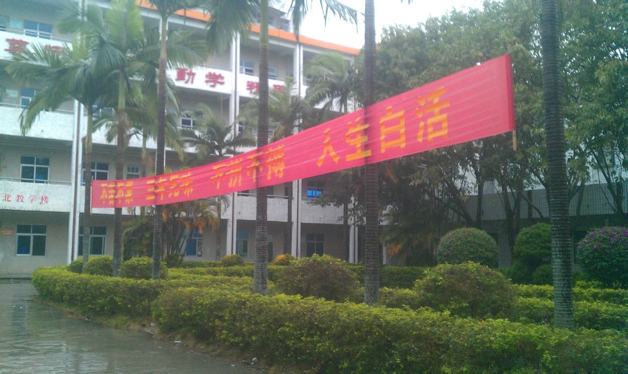  p> a target="_blank" href="/item/惠来县">惠来县 /a>华侨中学创办