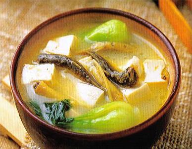  p>泥鳅汤以有 a target="_blank" href="/item/泥鳅/462306" data