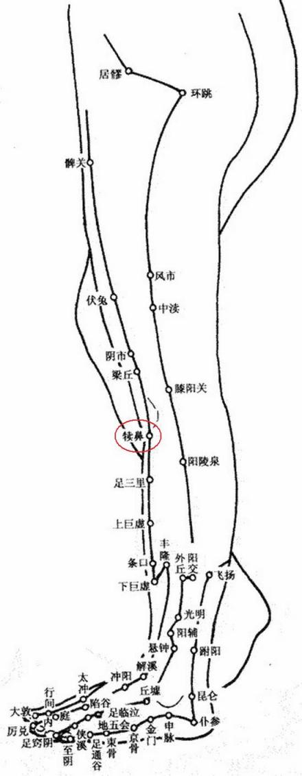 犊鼻（服饰和穴位总概括）_百度百科