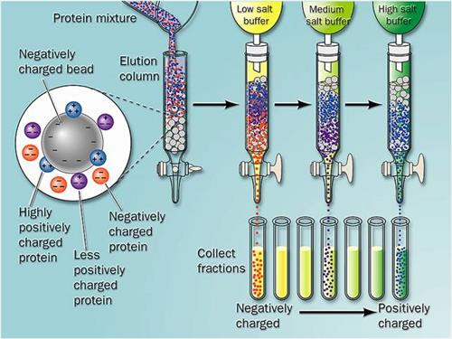 离子交换层析(ion-exchangecolumnchromatography)