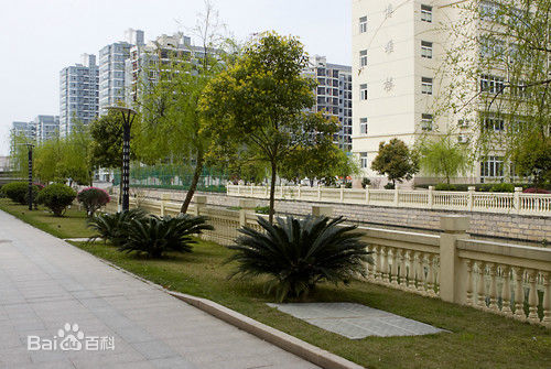 北京外国语大学瑞安附属学校