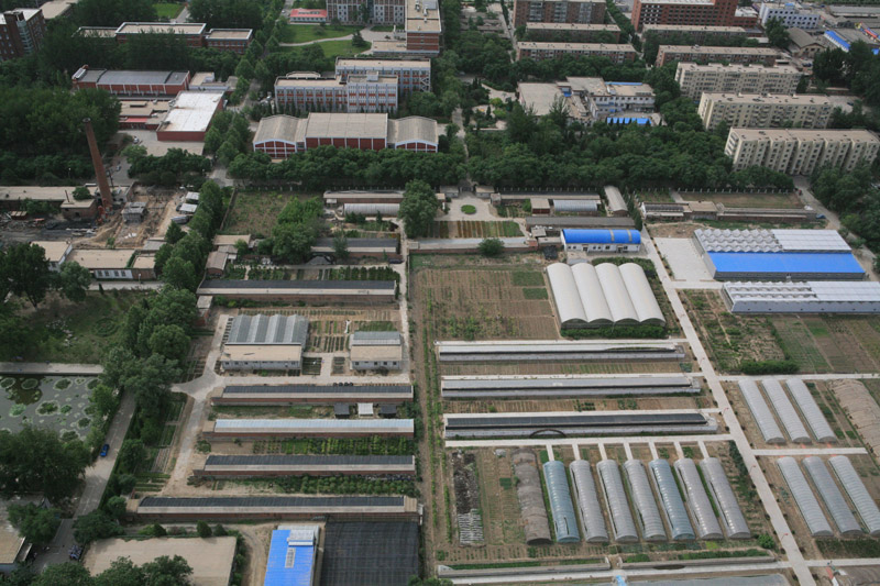 山西农业大学农学院植物病理学系