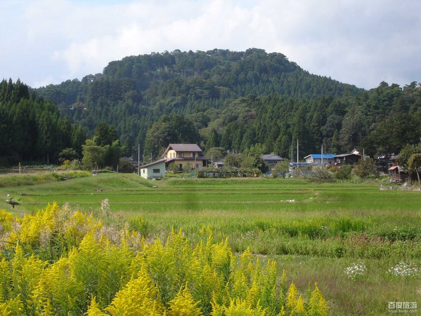 にいがたけん;罗马字:niigata-ken)位于日本本州岛中北部,县内以新潟