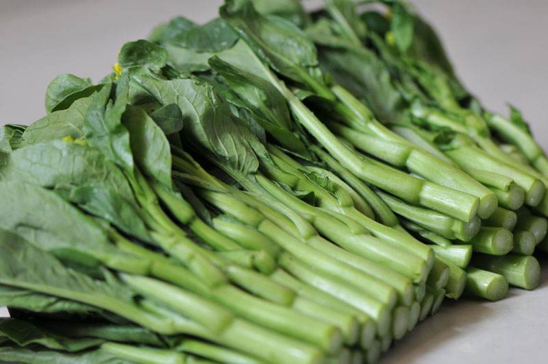  i>chinensis parachinensis /i>)是十字花科,芸薹属 a target="