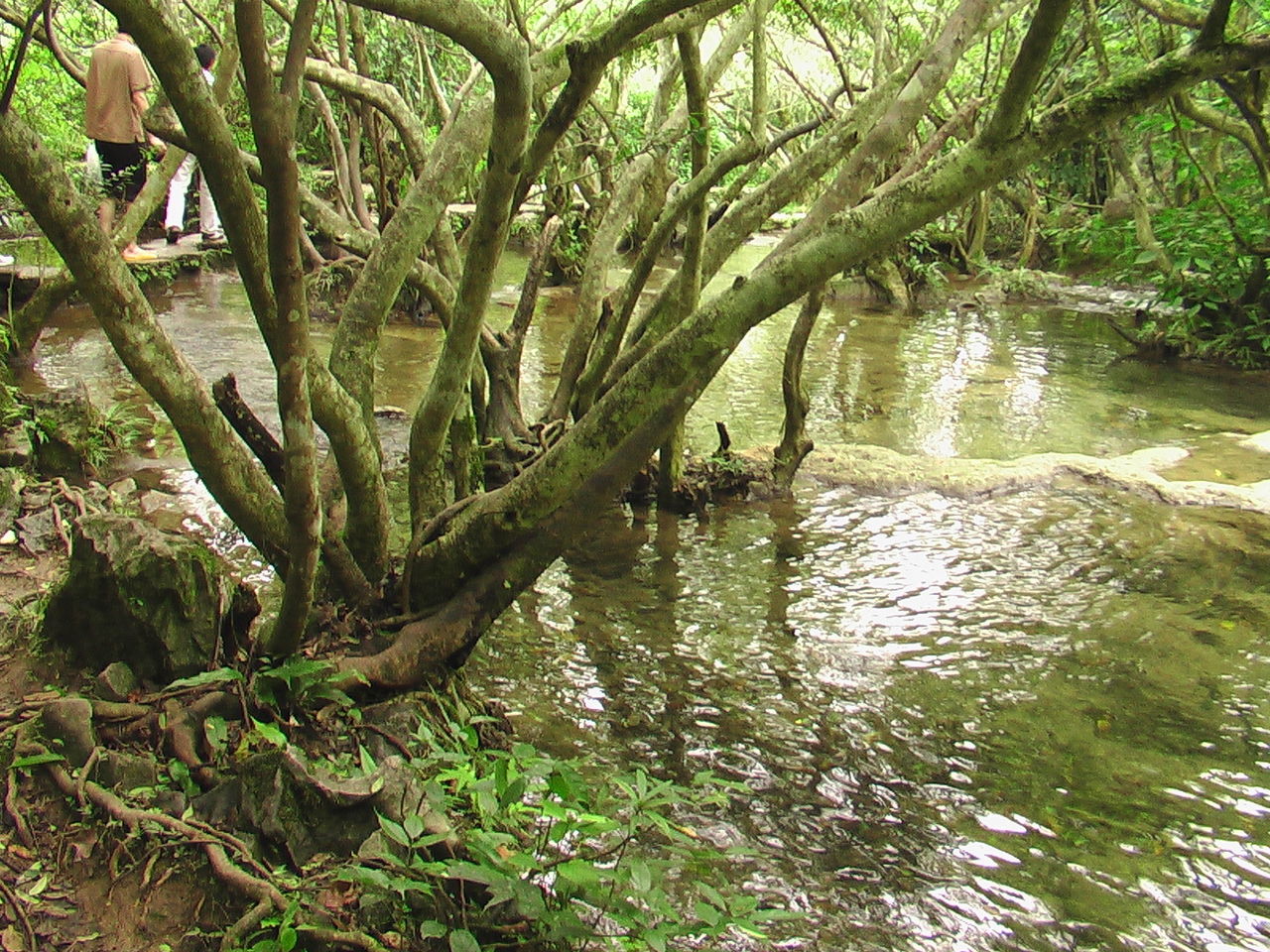  p>泉是地下水天然出露至地表的地点,或者 a href="#" data-lemmaid="