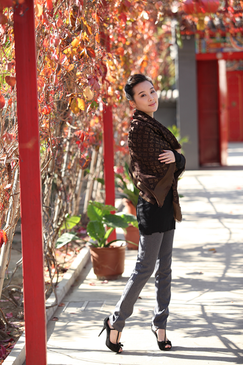 " data-lemmaid="680656">高晓攀 /a>,孙琳琳等主演的音乐戏剧电影