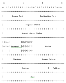 图1 TCP首部
