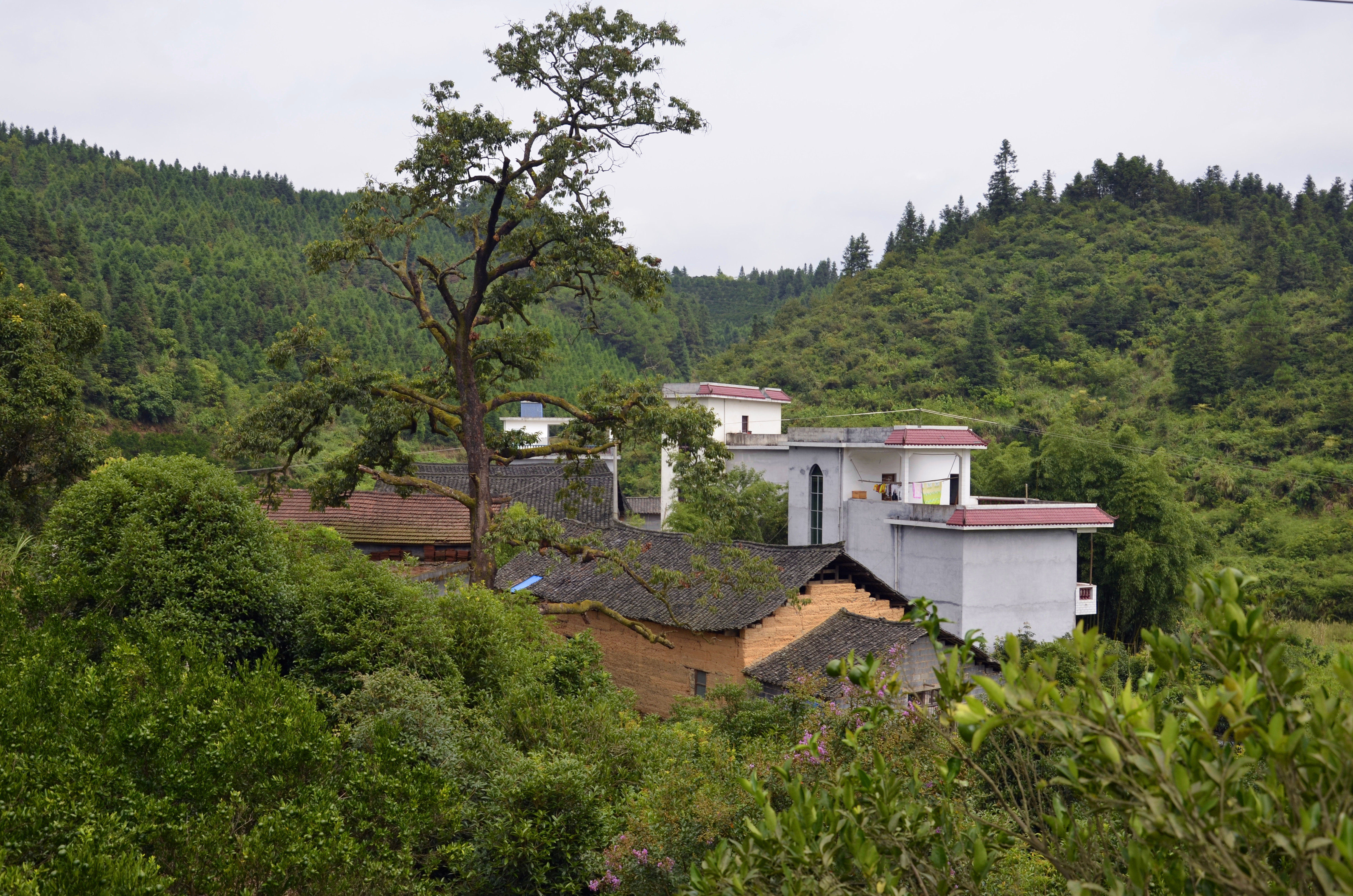 凤凰县水打田乡
