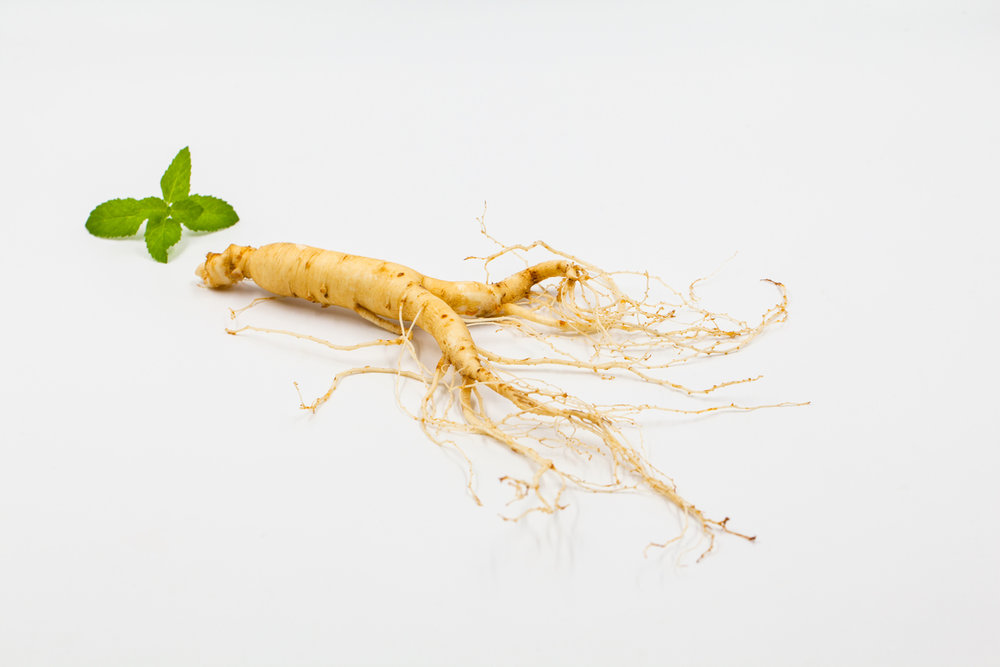  p>人参属(拉丁学名:panax l.