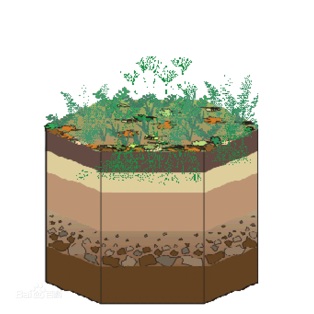  p>淋淀层是指某一淋溶层与其下的b层.