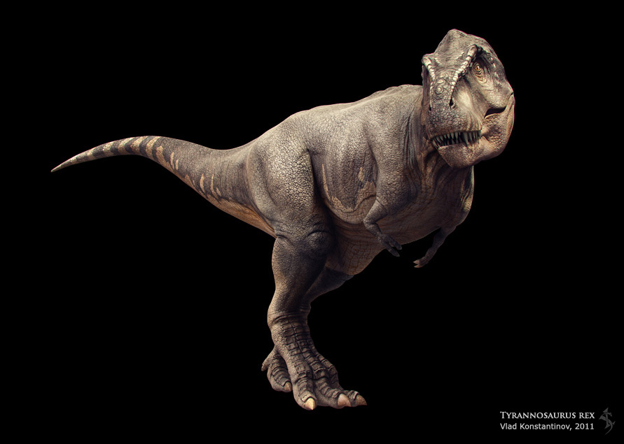  p>暴龙类(tyrannosaurs)是晚白垩世后半段最成功兽脚类恐龙类群,雄霸