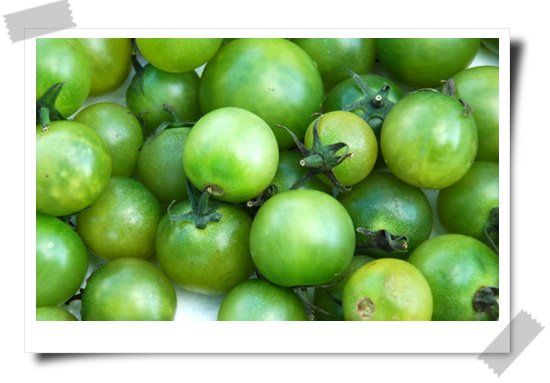  p>是西红柿的一种品种,也叫青苹果番茄.