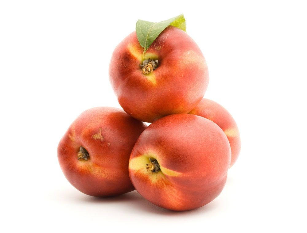 data-lemmaid="2466575">油桃 /a>(拉丁学名: i>prunus persica var