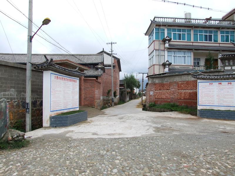 大营村