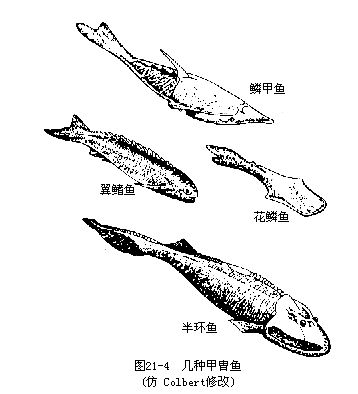 鱼类祖先