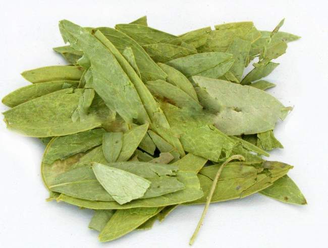 " data-lemmaid="3672199">豆科 /a>植物狭叶番泻或尖叶番泻的小叶