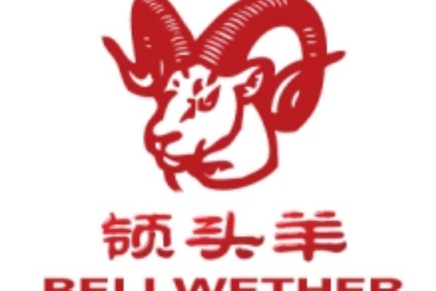 石家庄领头羊网络科技有限公司