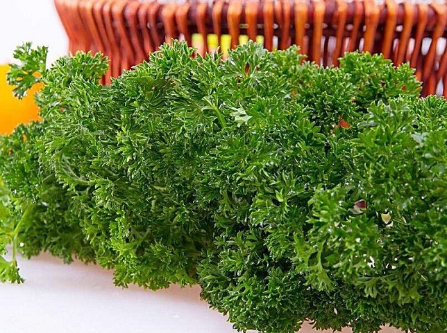  p data-id="gnwfdppmwx">法香,欧芹的别称,为多年生草本,叶片用途