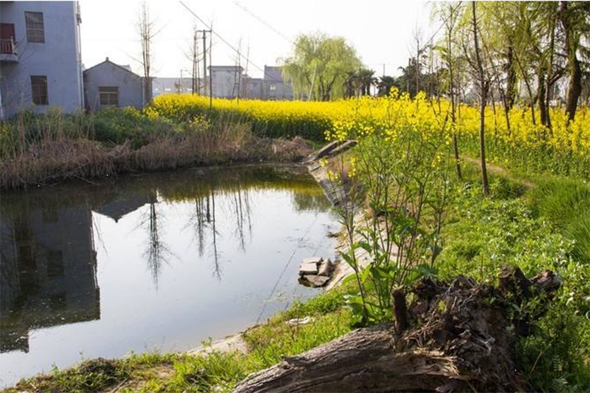 吴窑镇,隶属于江苏省 a target="_blank" href="/item/如皋市/2587789