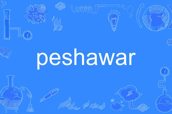  p>peshawar,英语单词,主要用作名词,作名词时译为"白沙瓦(巴基斯坦