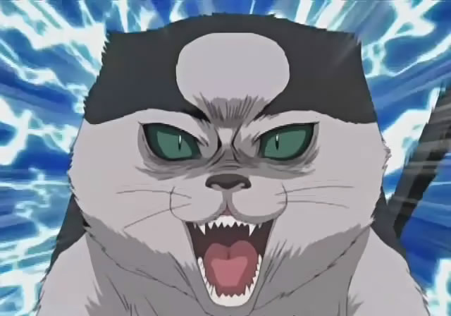 data-lemmaid="27263">银魂 /a>》及其衍生作品中的角色,是一只猫