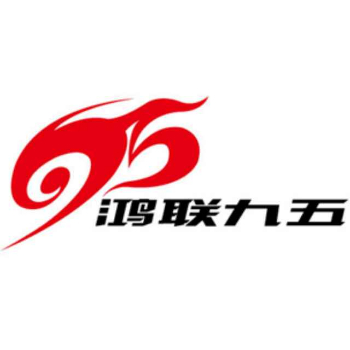 北京鸿联九五信息产业有限公司