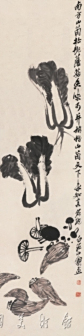 菜笋
