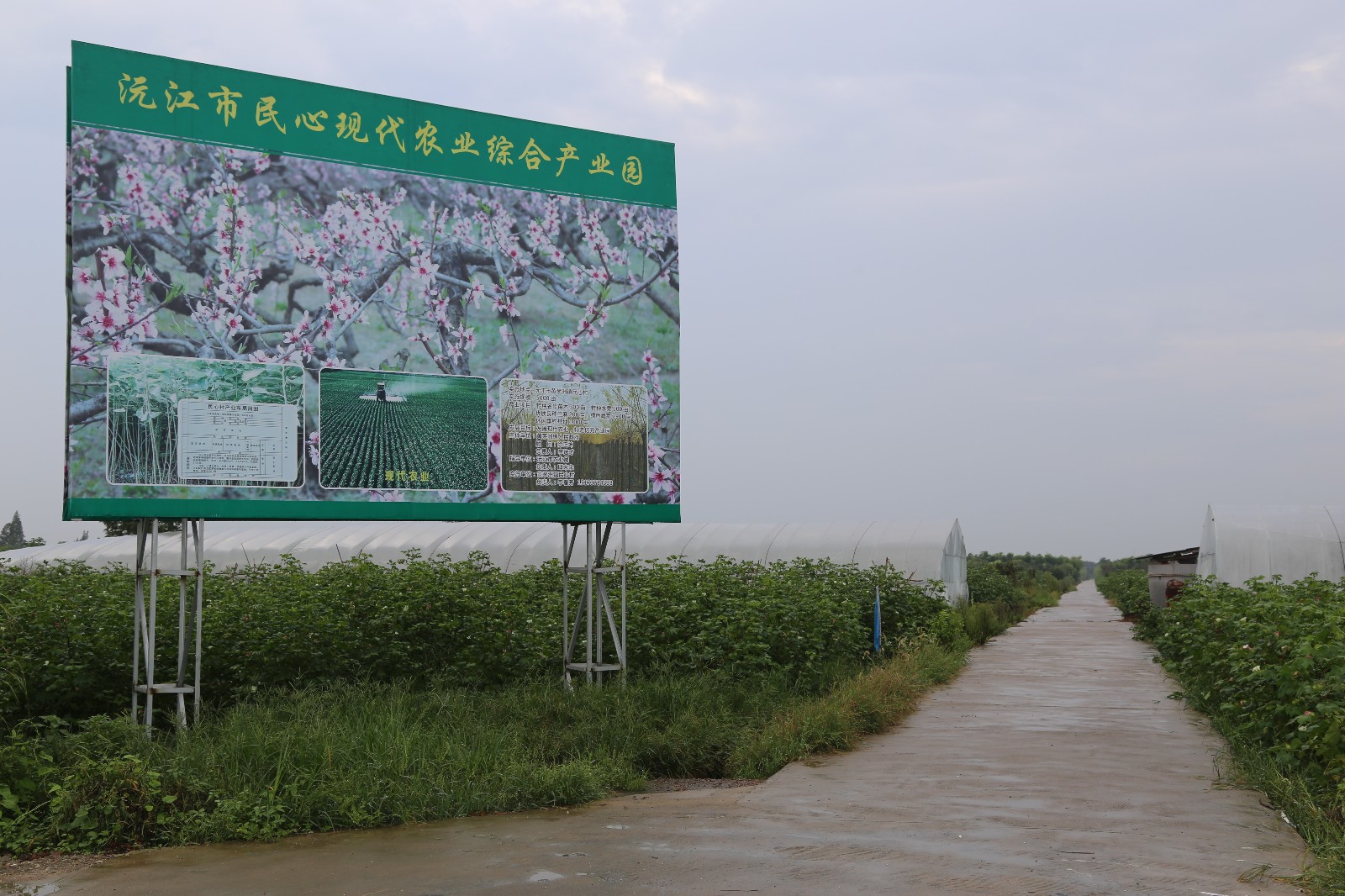 data-lemmaid="293174">湖南省 /a>益阳市沅江市,地处 a target="