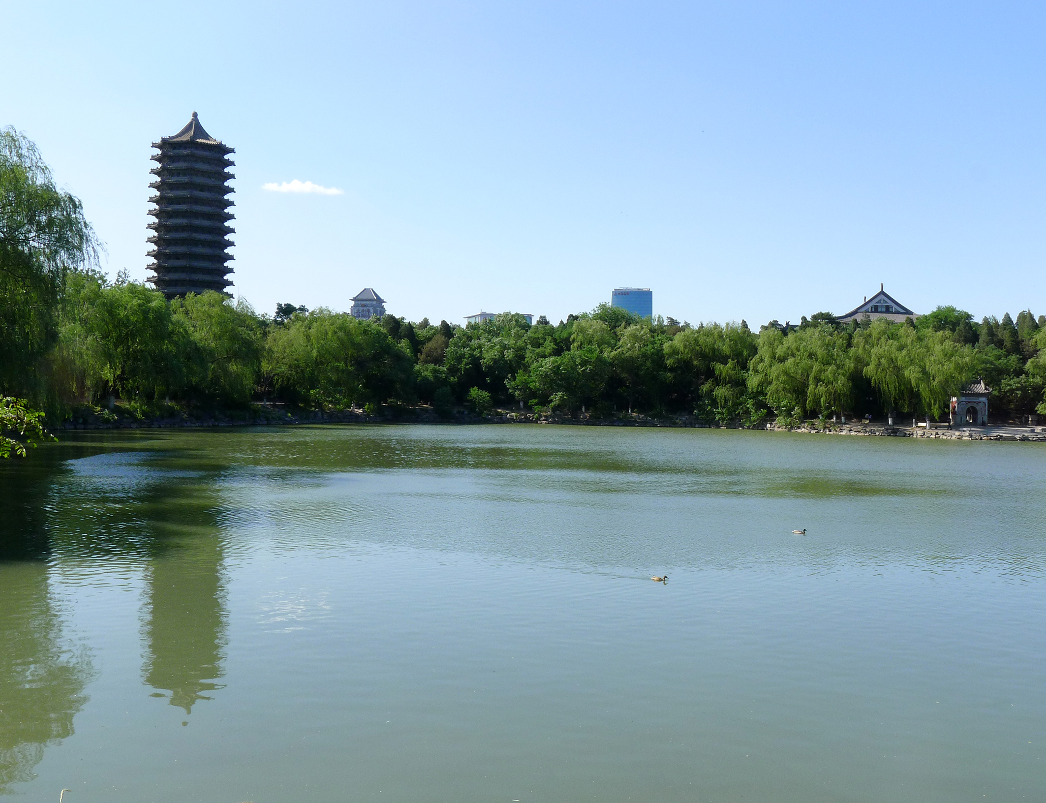 北京大学校园
