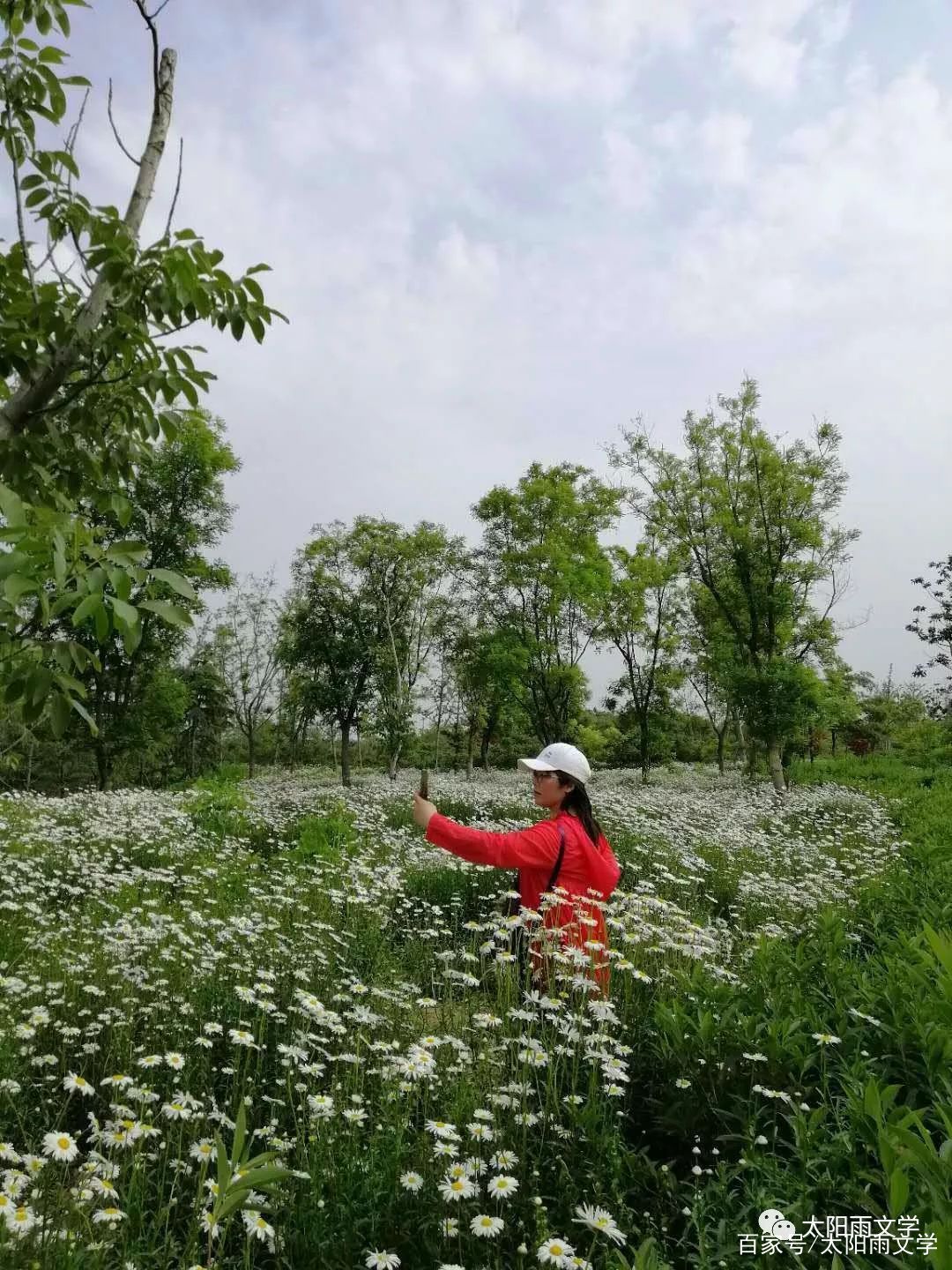 孔爱丽：从前慢，一生只爱一个人—读王同光老师《花甲之恋》有感_百科TA说