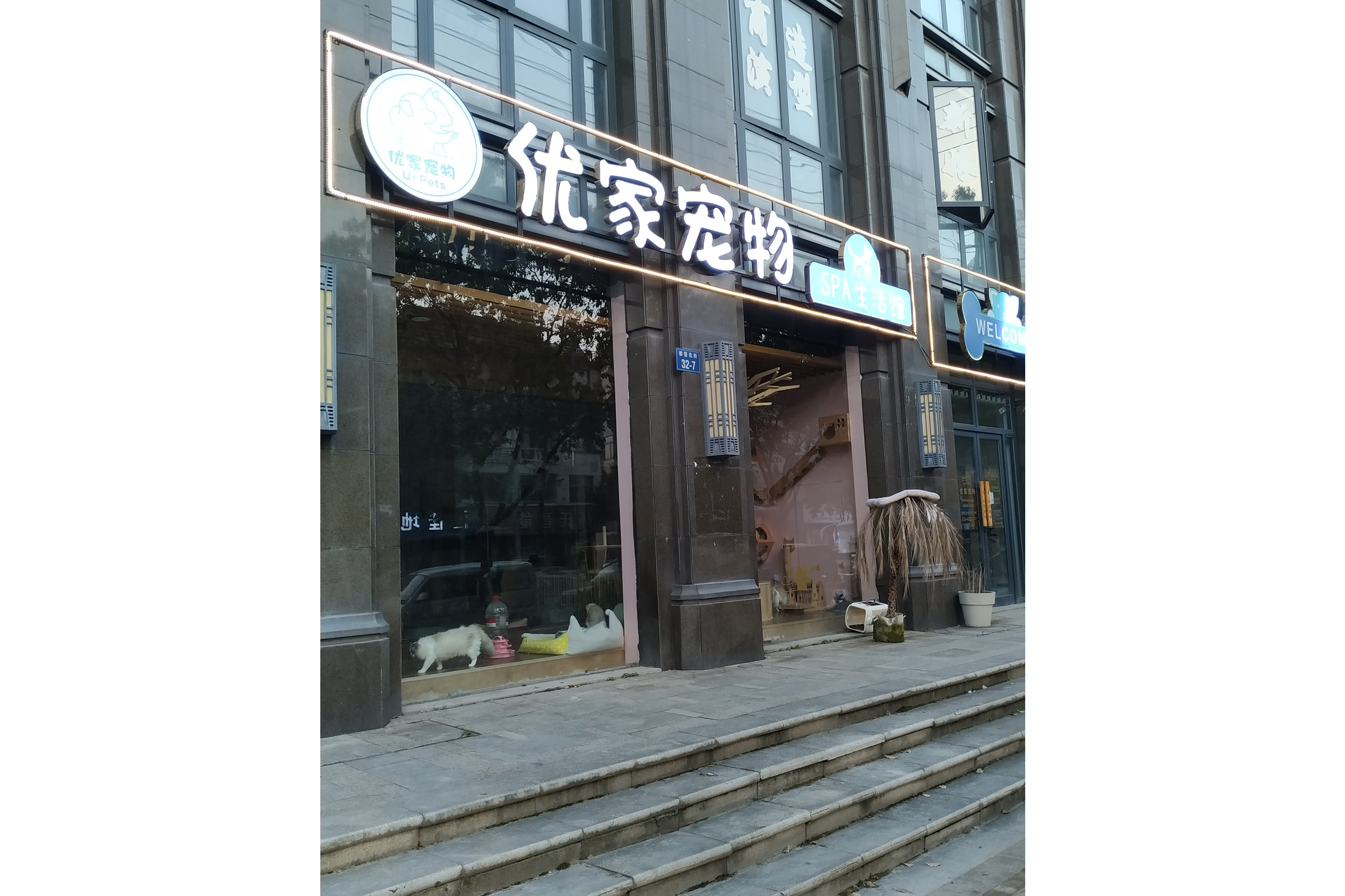 东阳市横店优家宠物店
