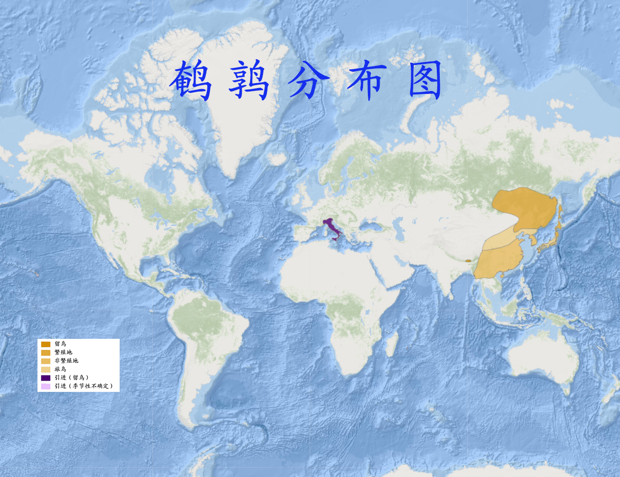  p>鹌鹑(学名: i>coturnix japonica /i>):雉科,鹌鹑属鹑类,体长14-20